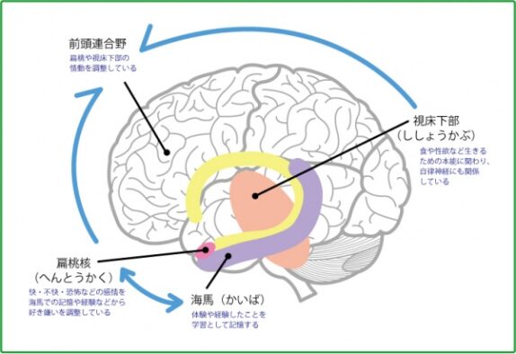 「怒り」は人にどんな力を与えるのでしょうか? 脳科学でひも解くスポーツと怒りの関係 - HIROg-blog